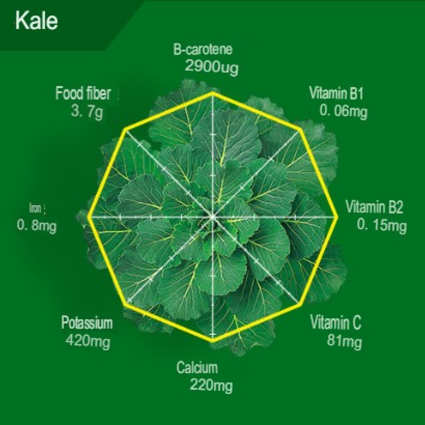 羽衣甘蓝：优质日本羽衣甘蓝粉，日常营养补充